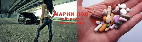 крисы Верея