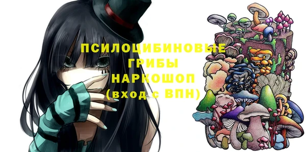 mdma Бородино
